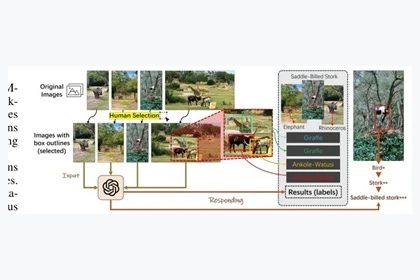 Human–LMM image annotation workflow